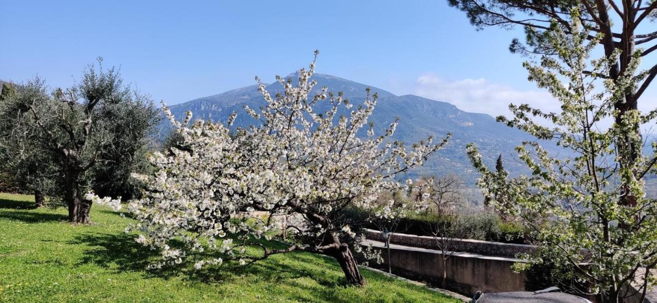 Loup Castel Boutique Hotel B&B Le Bar-sur-Loup Εξωτερικό φωτογραφία